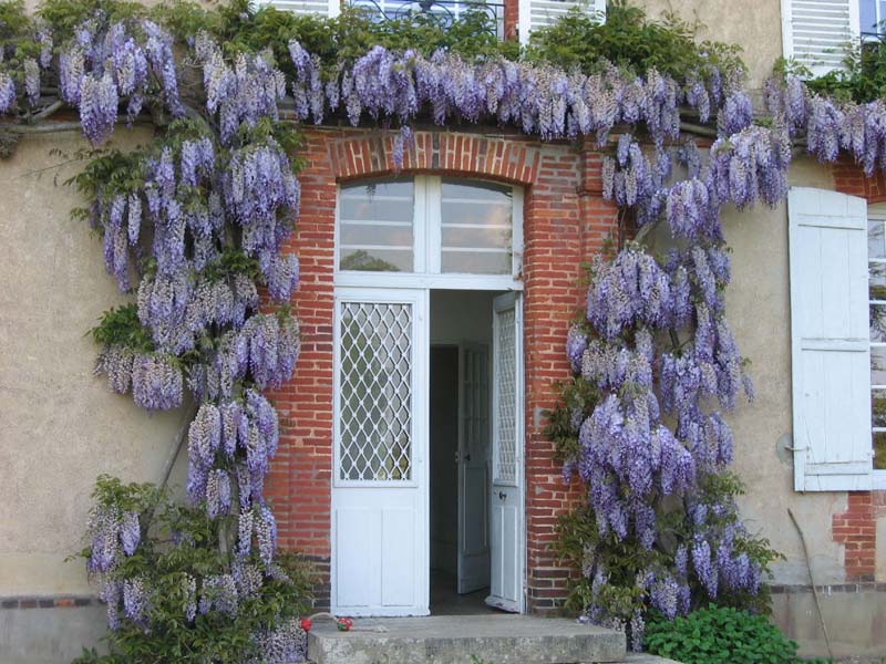Château de la Noë Vicaire_27250 SAINT ANTONIN DE SOMMAIRE_4 Château de la Noë Vicaire_27250 SAINT ANTONIN DE SOMMAIRE_4